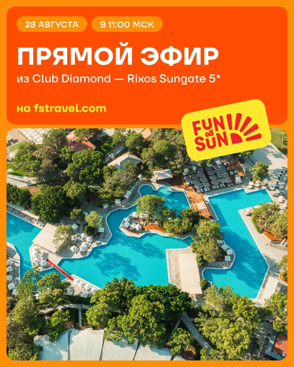 🌊 Новый стрим из Турции
