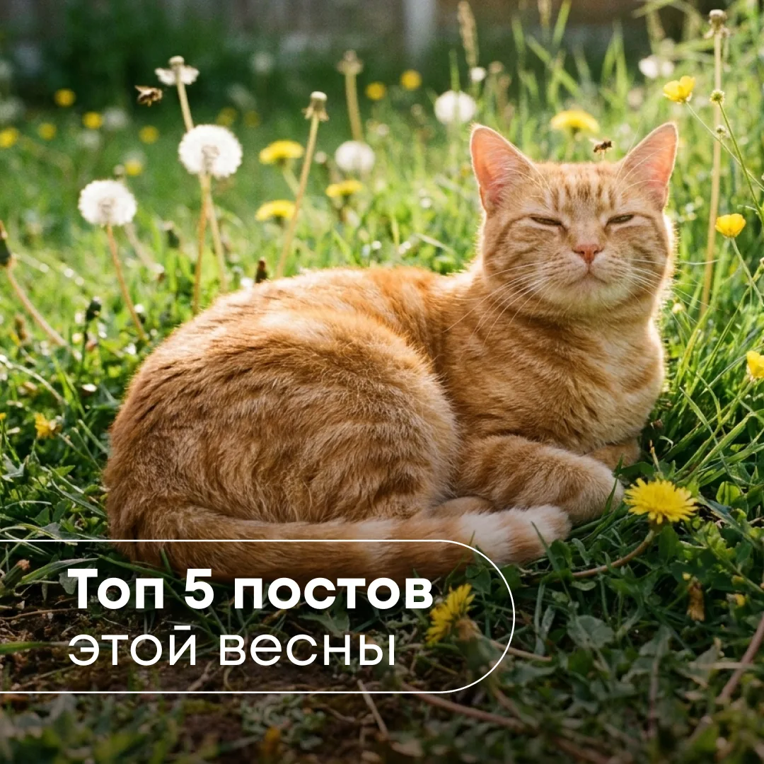 В последний день весны вспомним ТОП-5 наших постов с 1 марта -