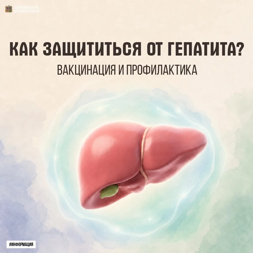 🛡️ Как защититься от гепатита?

Гепатиты — это группа инфекционных заболеваний, которые разрушают п