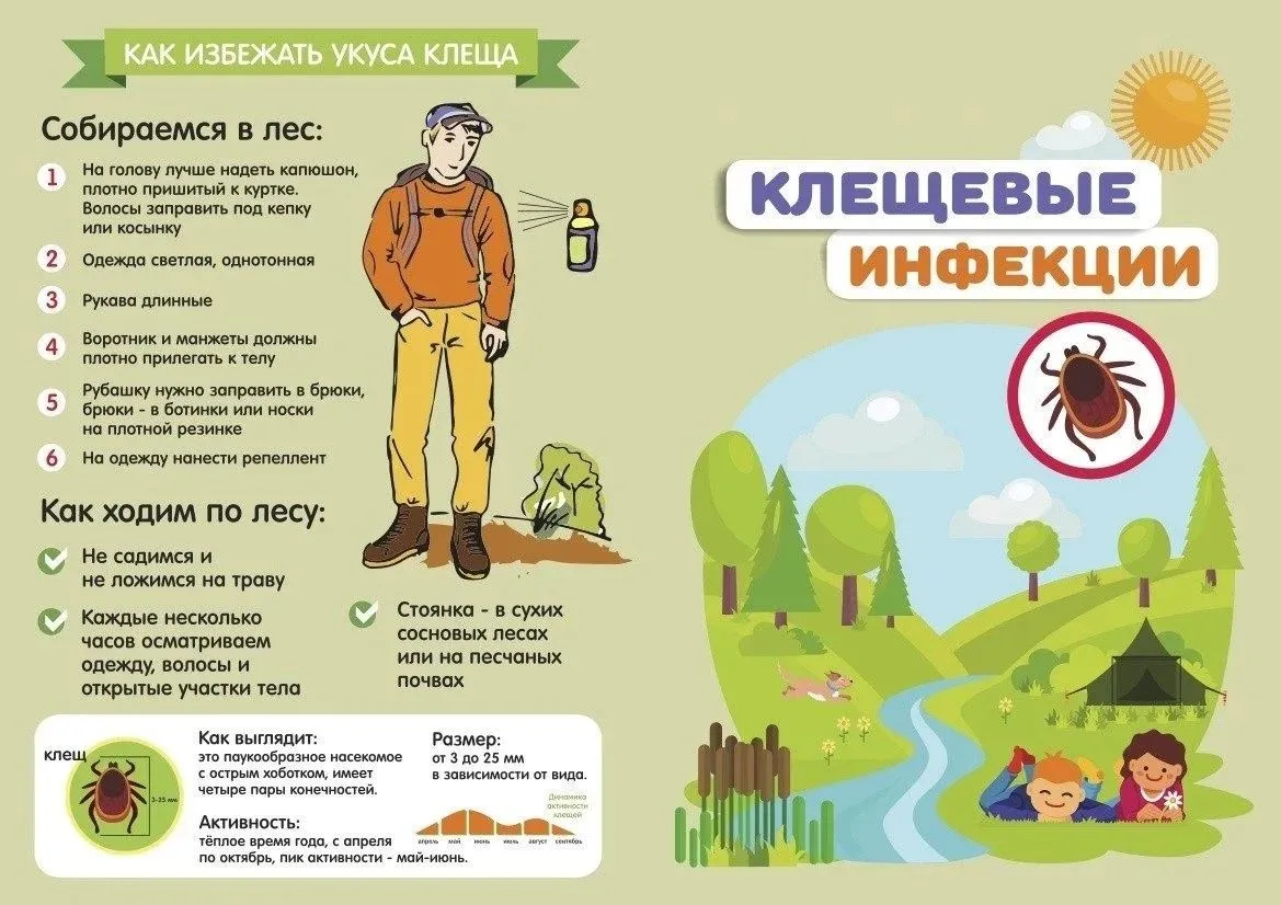 📋 5 фактов про клещей