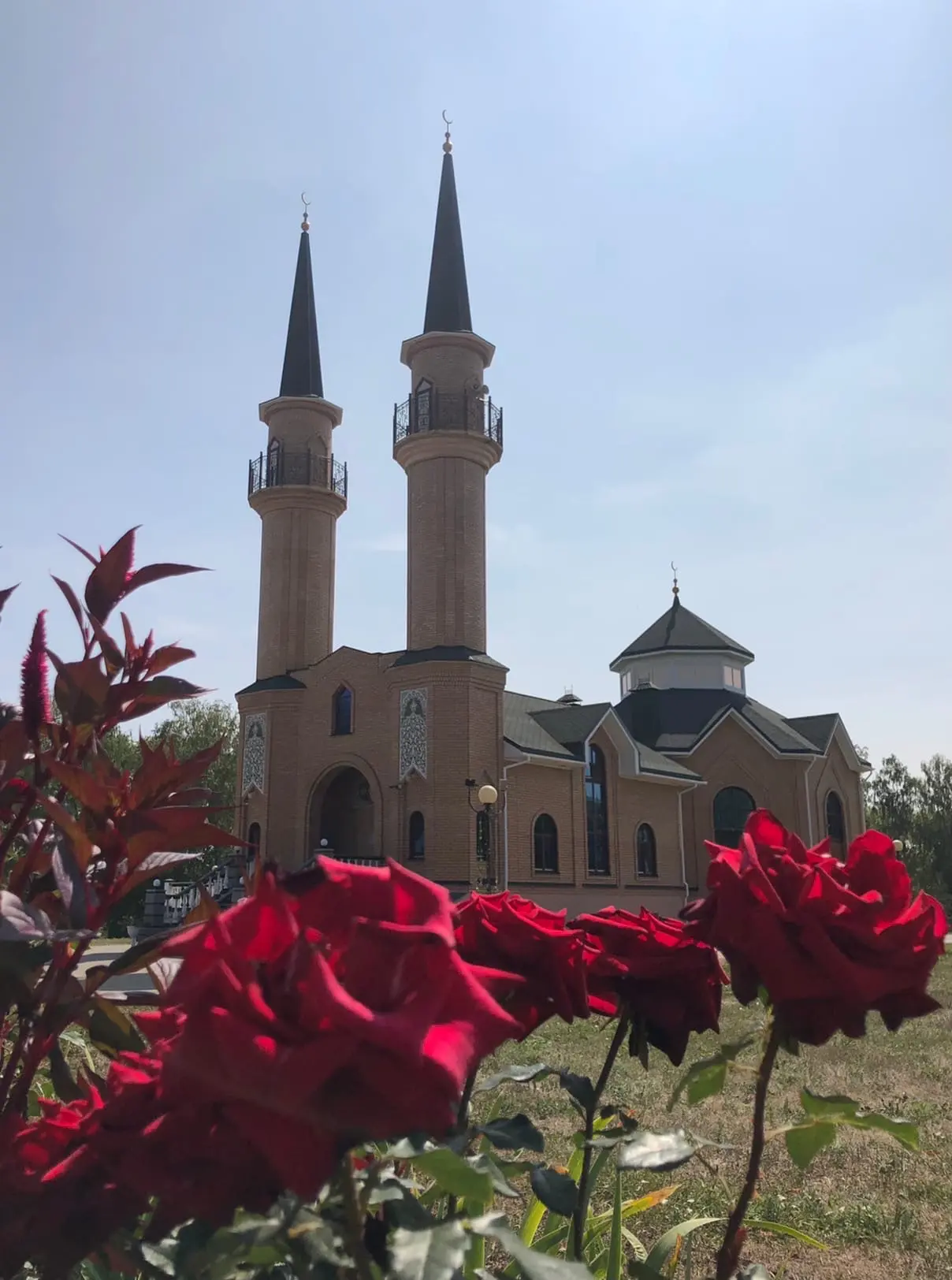 Доброе утро, Чишмы!  Сегодня: +15…⁠+24° · ветер 1,3–⁠2,7 м⁠/⁠с, порывы до 7 м⁠/⁠с