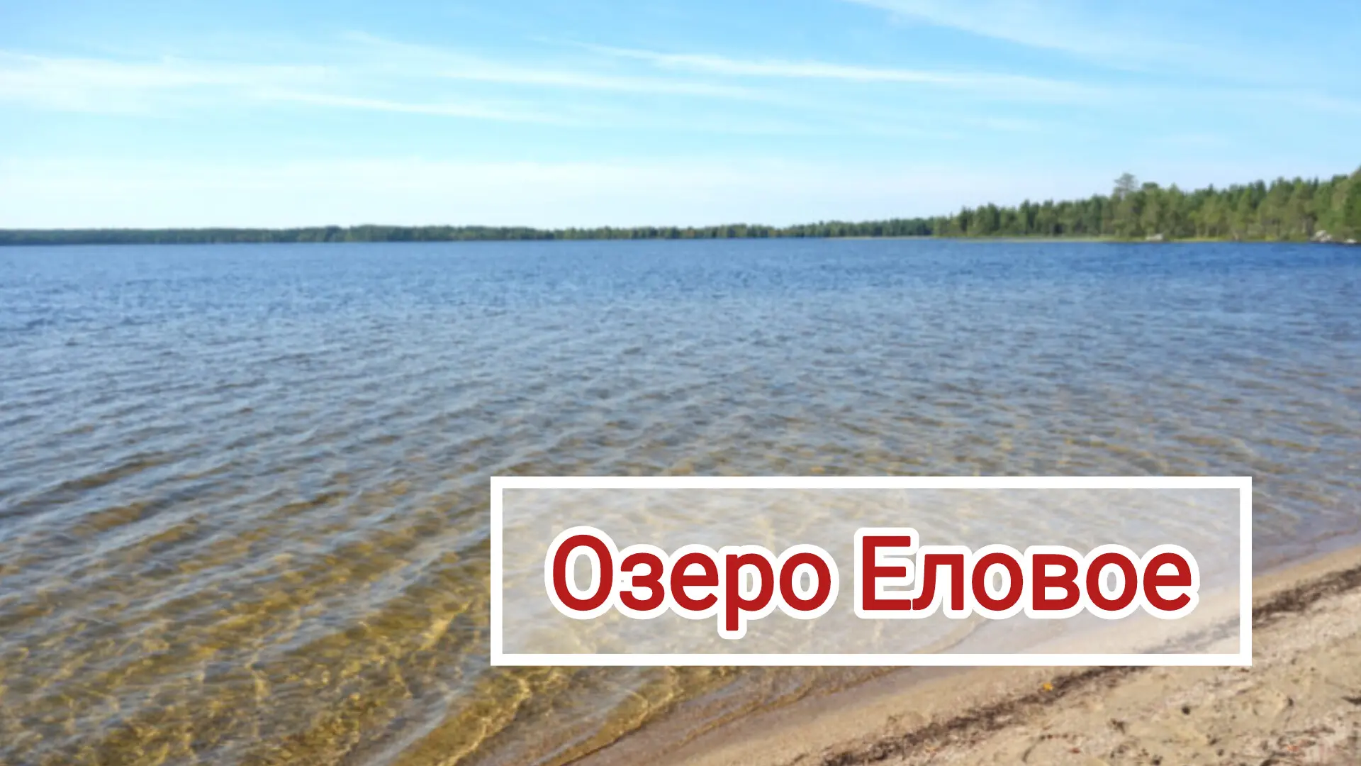 🚌 ОЗЕРО ЕЛОВОЕ 
27 июля 2026г. (пн.) 

🙌 Пока стоит тёплая погода, приглашаем вас на озеро, погода
