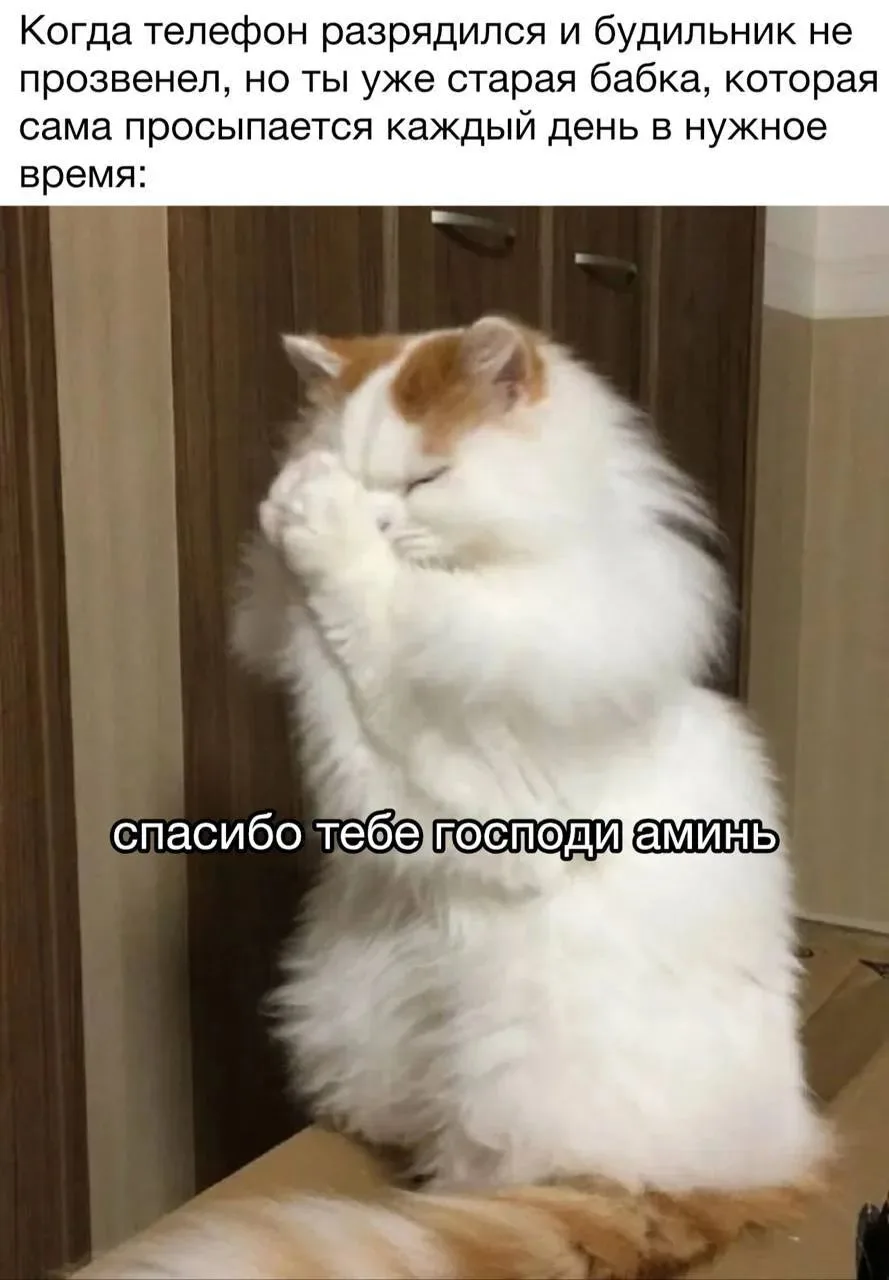 Доброе утро 🌄