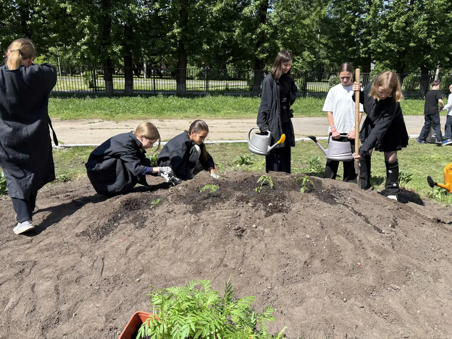 Детский общественный совет при уполномоченном по правам ребёнка в Новгородской области запускает тра