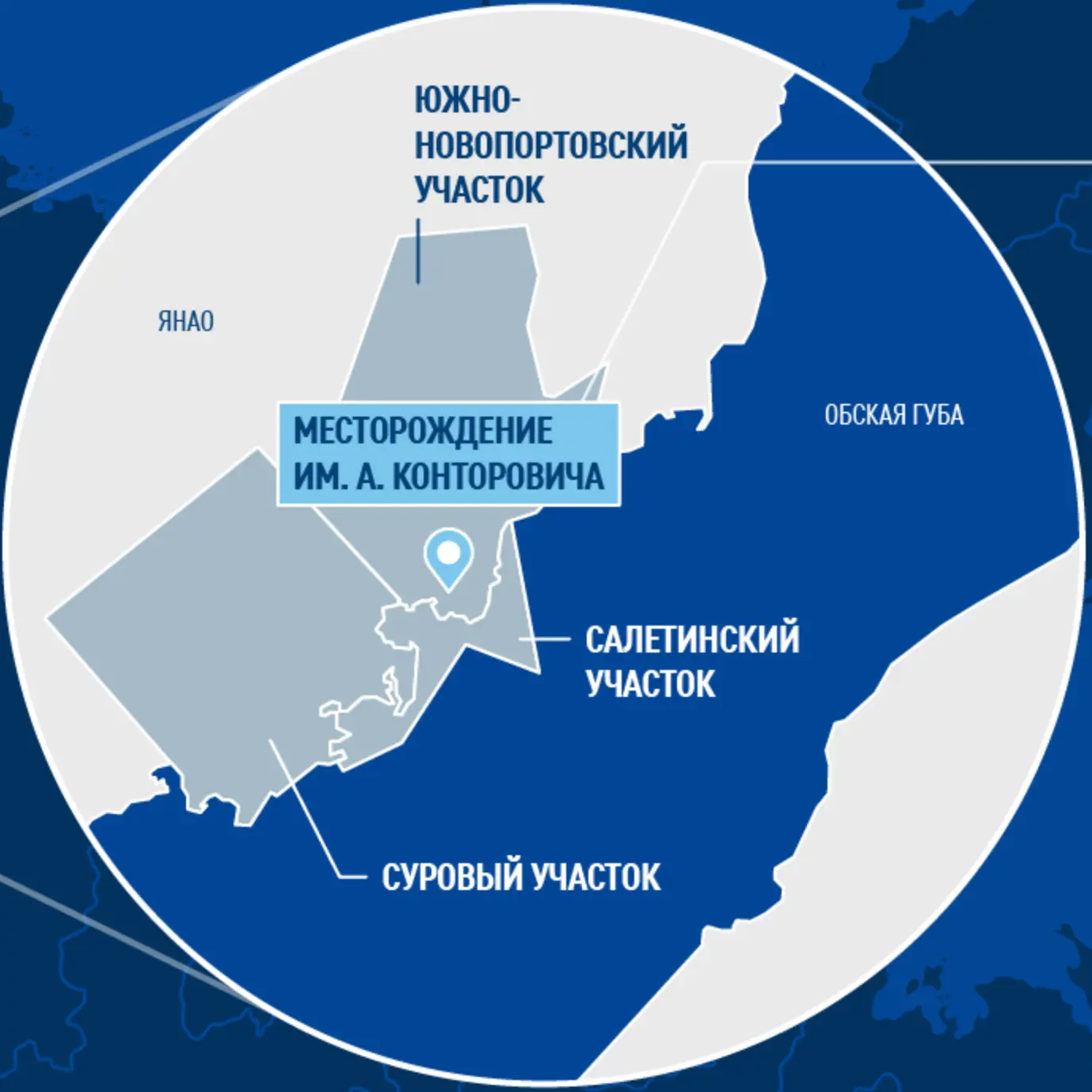 Крупнейшее нефтяное открытие на Ямале за 30 лет

Компания «Газпром нефть» сообщила об открытии новог