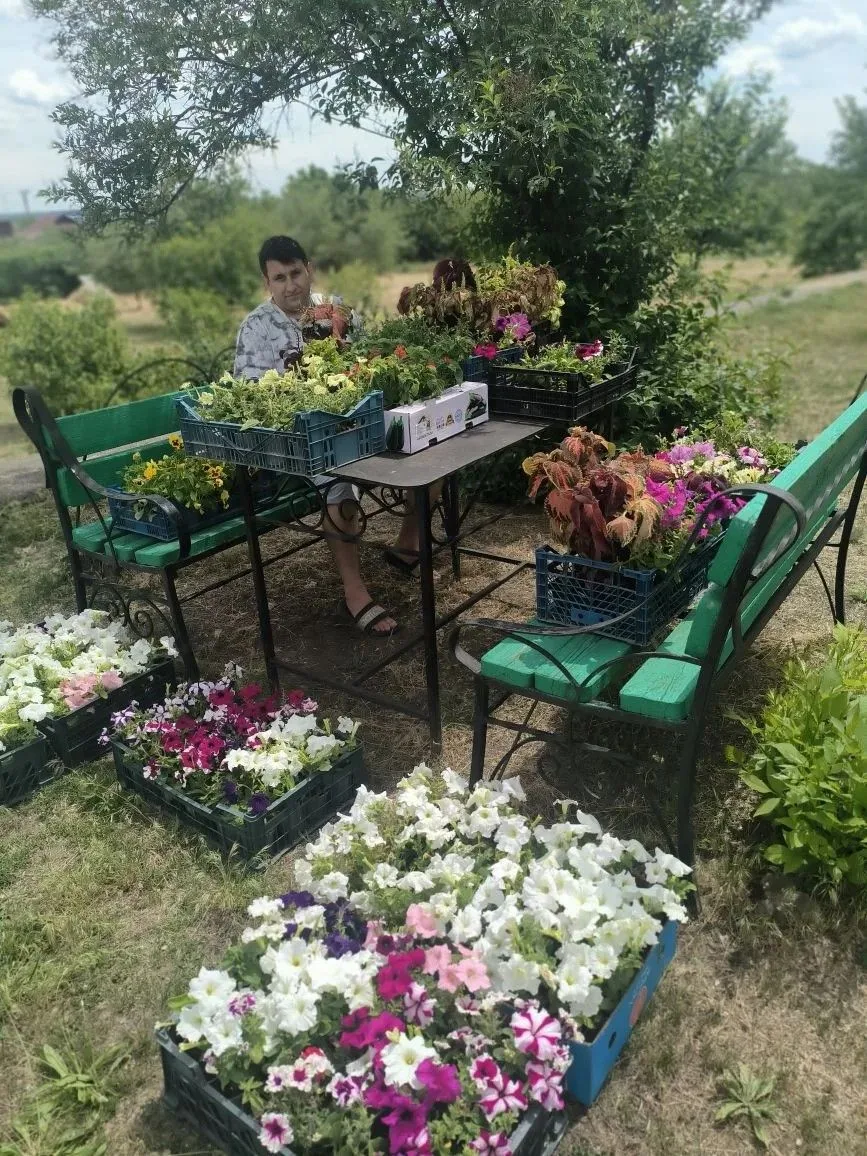 Мы хотим выразить огромную благодарность семье Носович! Уже три года подряд они дарят двору МБУ ЦСО 