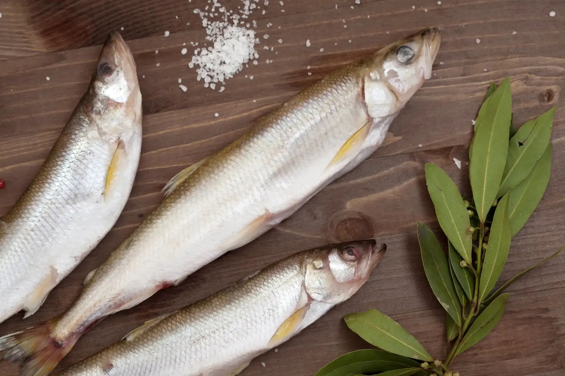 🐟 Свежевыловленная корюшка пахнет просто фантастически!🥒 Она пахнет огуречной свежестью. А когда э