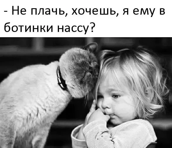 Пенсионеры онлайн ✅