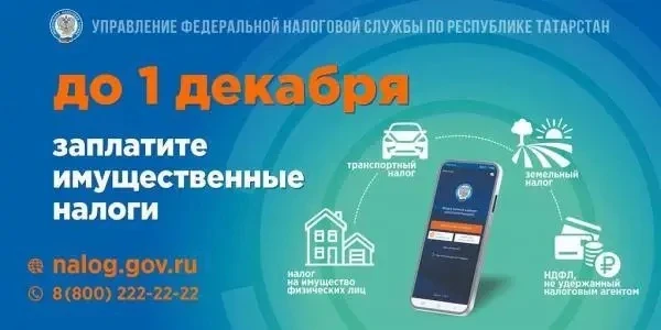 Информация о сроках, способах