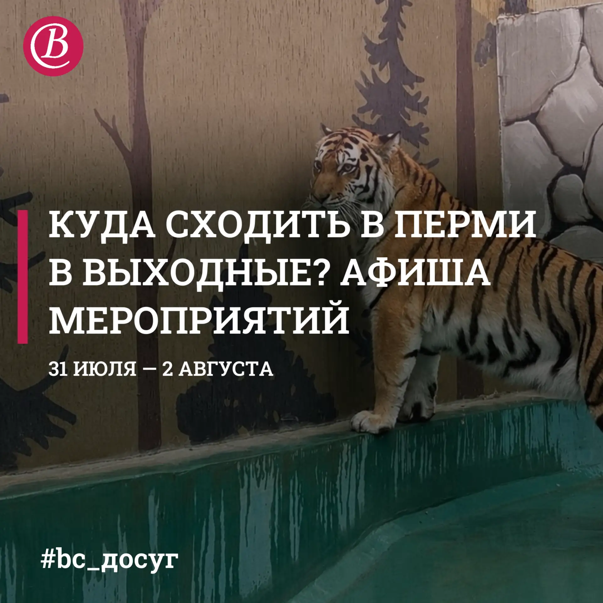 Август в Пермском крае встречаем на самых атмосферных событиях!

Выбирайте для себя в нашей еженедел