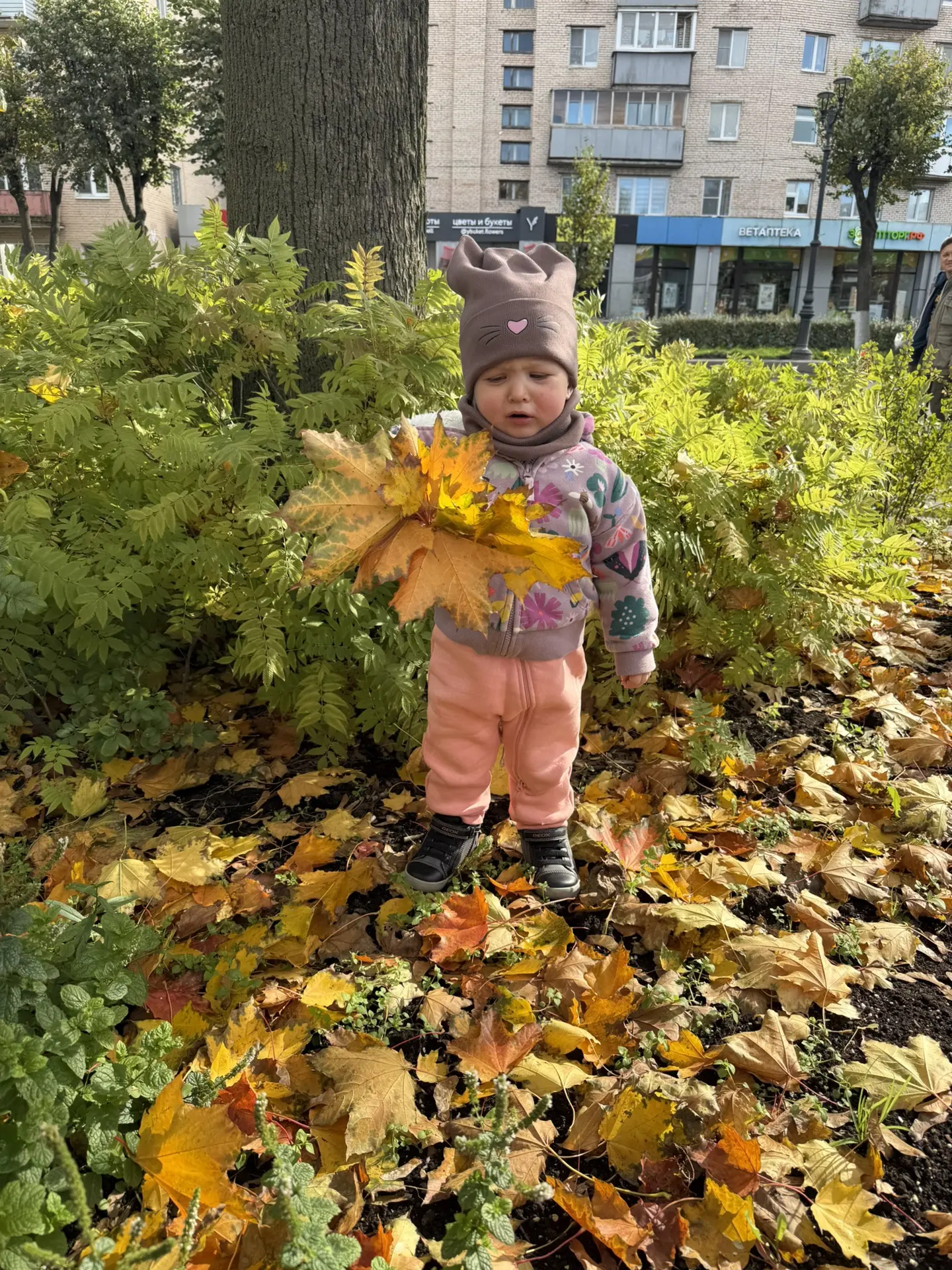 🍁 Прогулки в Сентябре