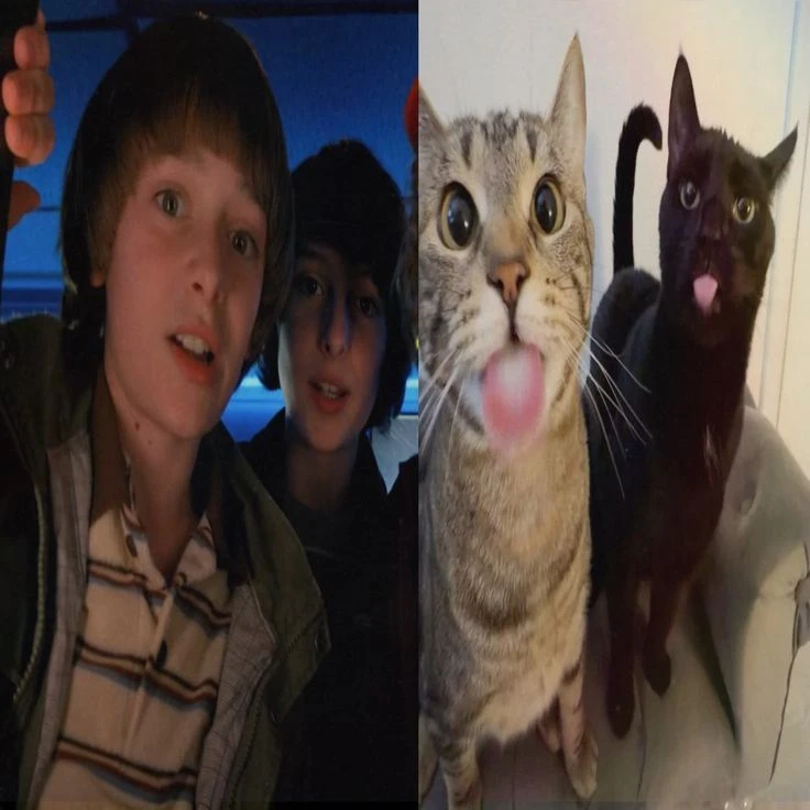 Это мы? 🐱❤️ Скидывай своему лучшему другу!

Очень Странные Дела 👈