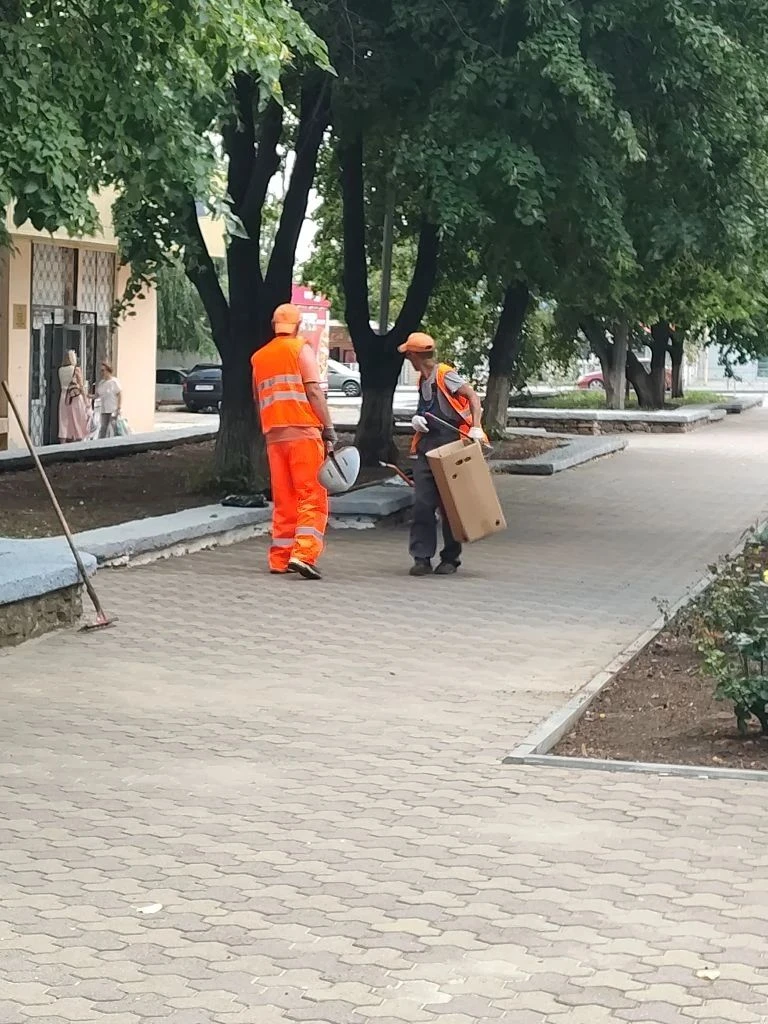 На клумбах в сквере Фадеева ведутся работы по прополке и уборке,а также замена ламп в п...