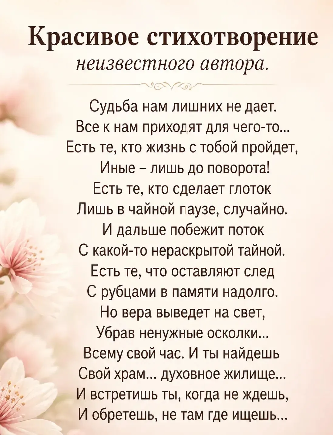 Галерея Открыток