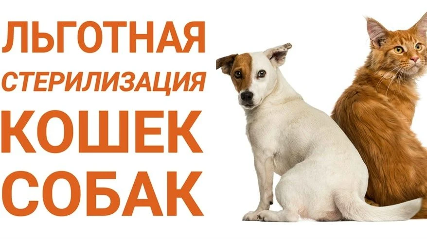 С 1 марта 2026 года Республика Башкортостан запустила систему обязательной регистрации ...