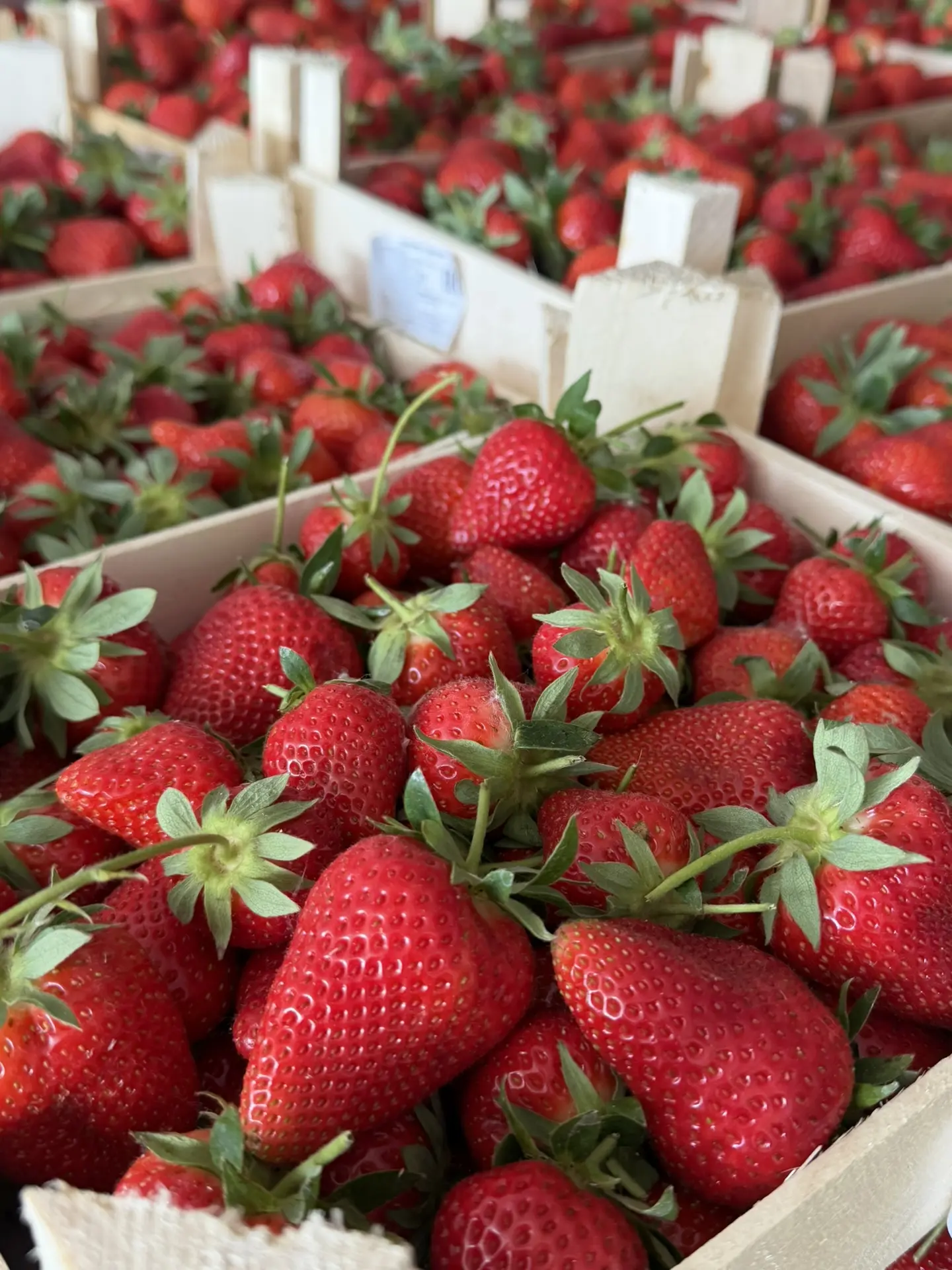 🍓 КЛУБНИКА ИЗ КЫРГЫЗСТАНА УЖЕ  ВО ВСЕХ МАГАЗИНАХ «ПЕРВЫЙ ЯГОДНЫЙ» 🍓  🧺 Продажа ящиками по ≈ 2 кг Цен