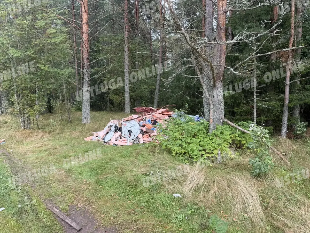 Свалка мусора в лесу 🚯😳