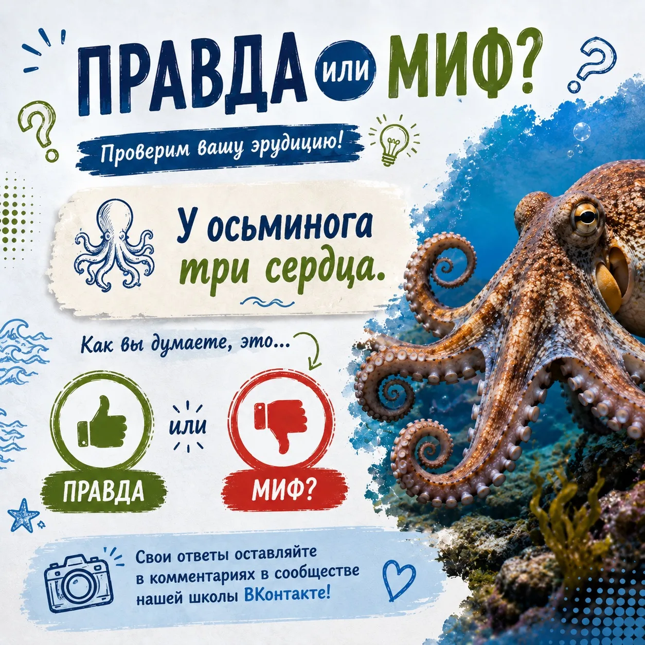 🤔 Правда или миф?

Проверим вашу эрудицию! 🧠✨

🐙 У осьминога три сердца.

Как вы думаете, это…

�
