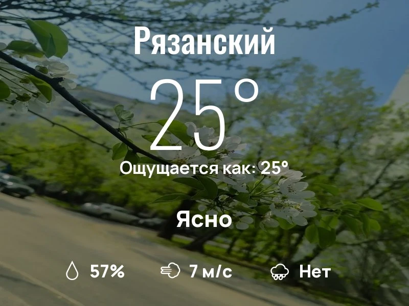 Что с погодой в Рязанском?