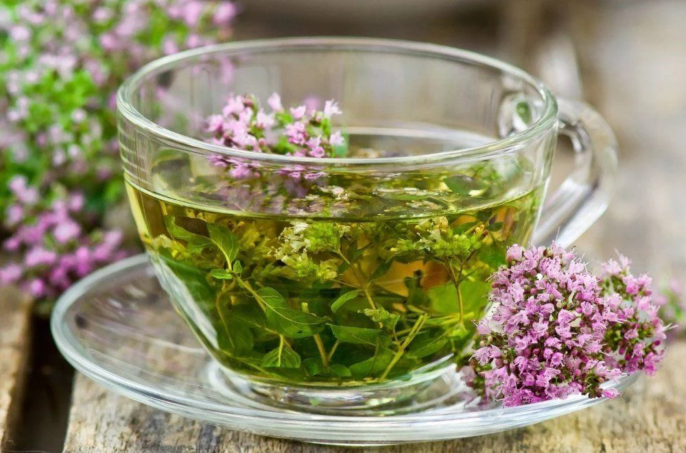 Шалфей — ароматная трава с полезными свойствами 🌿 

Шалфей известен своими природными антимикробным