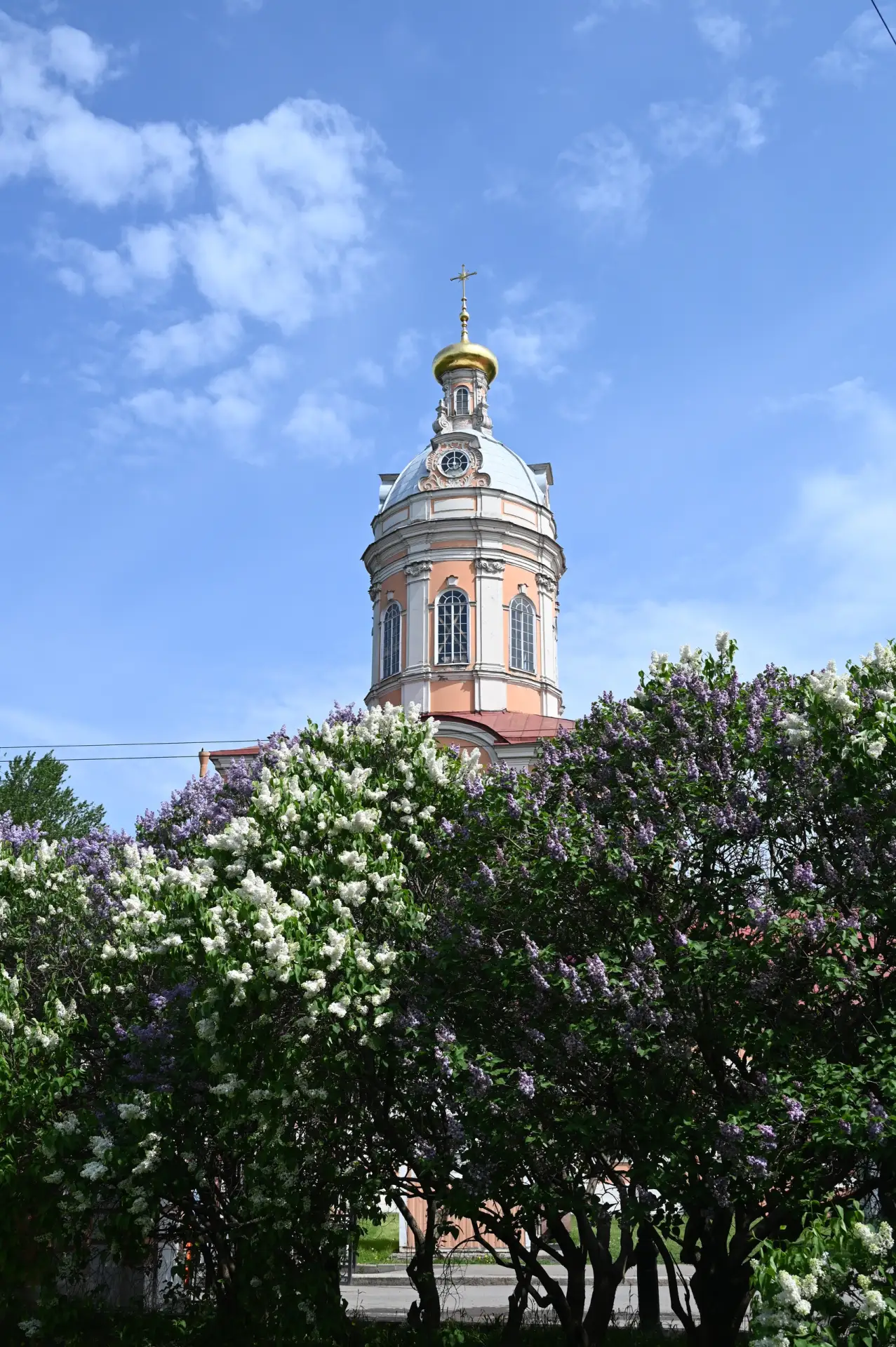 Митрополичий сад. Сирень расцвела.