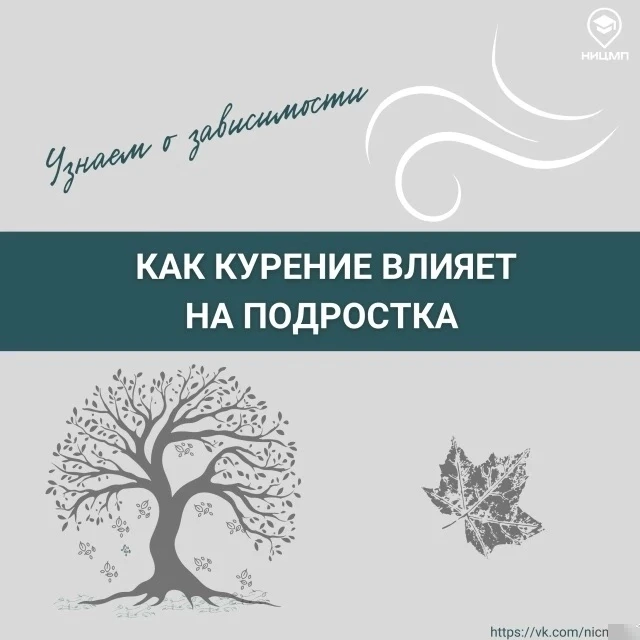 📌 Информация, которая поможет: