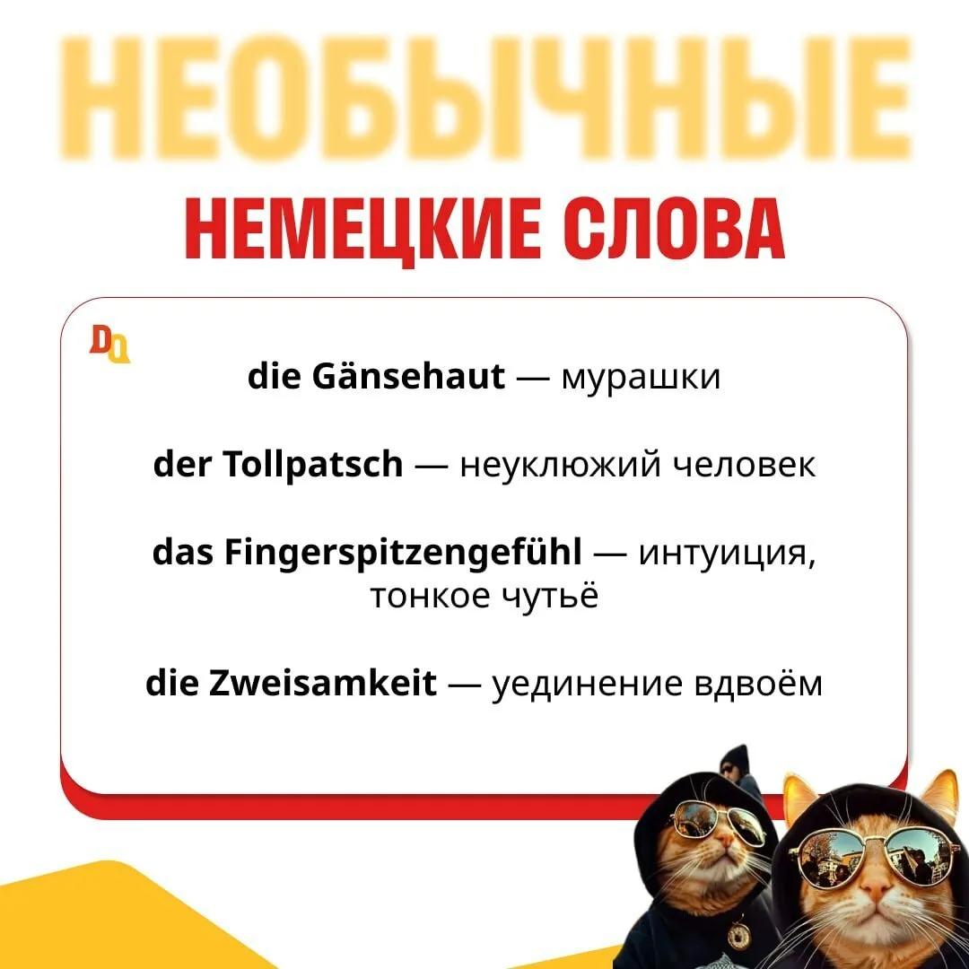 🎶 Слова, которые звучат как музыка
Или наоборот — как скрип тормозов 🚗

Вы когда-нибудь ловили себ