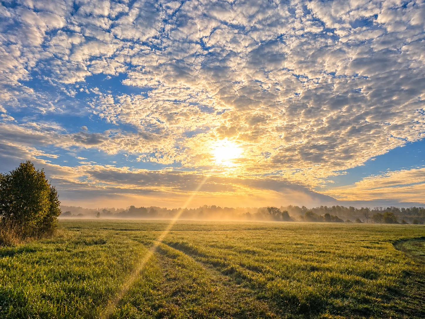 Рассвет