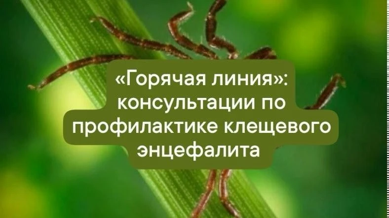 Обратите внимание  В период с 27 апреля по 10 мая 2026 года в Управлении Роспотребнадзора по Томской