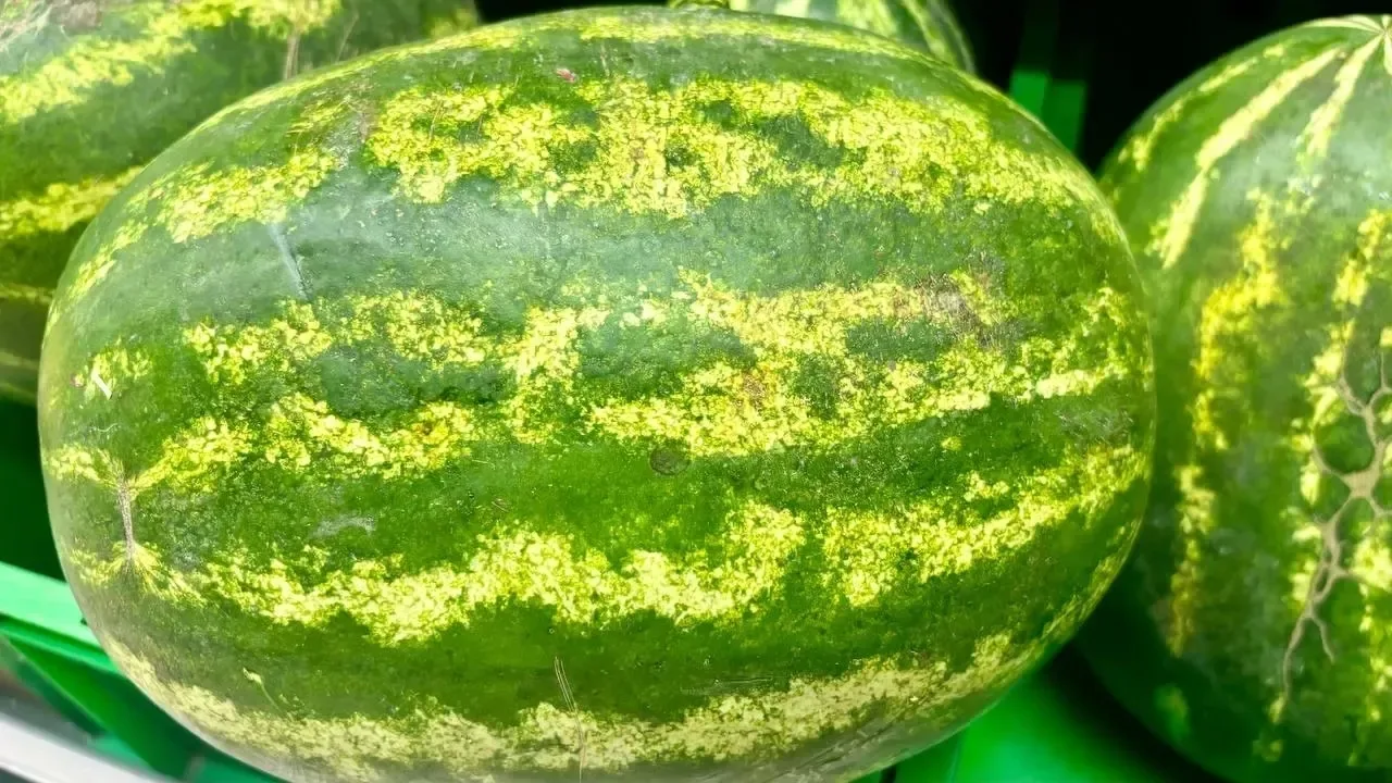 🍉 В магазинах Нижневартовска появились арбузы.  Партию привезли из Ирана. Средняя цена за килограмм 
