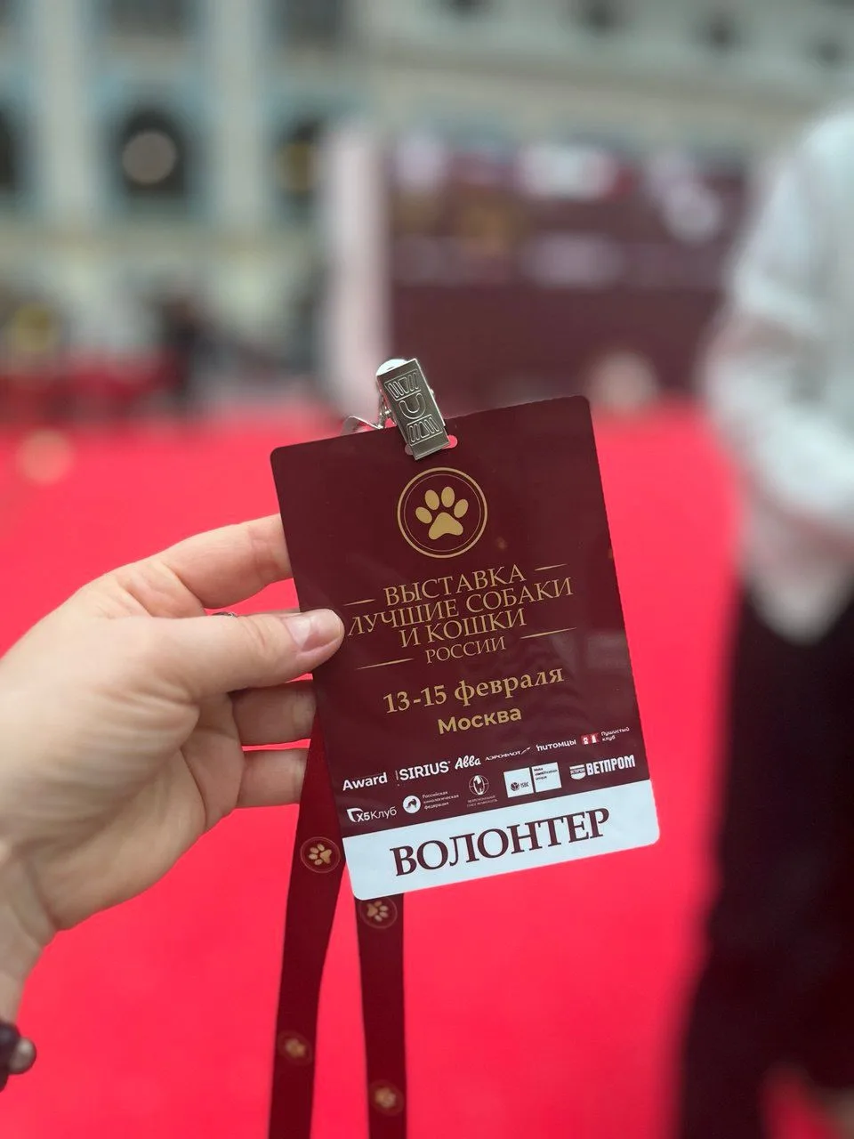 В центре столицы, в Гостином дворе, прошло уникальное мероприятие, выставка "Лучшие собаки и кошки Р