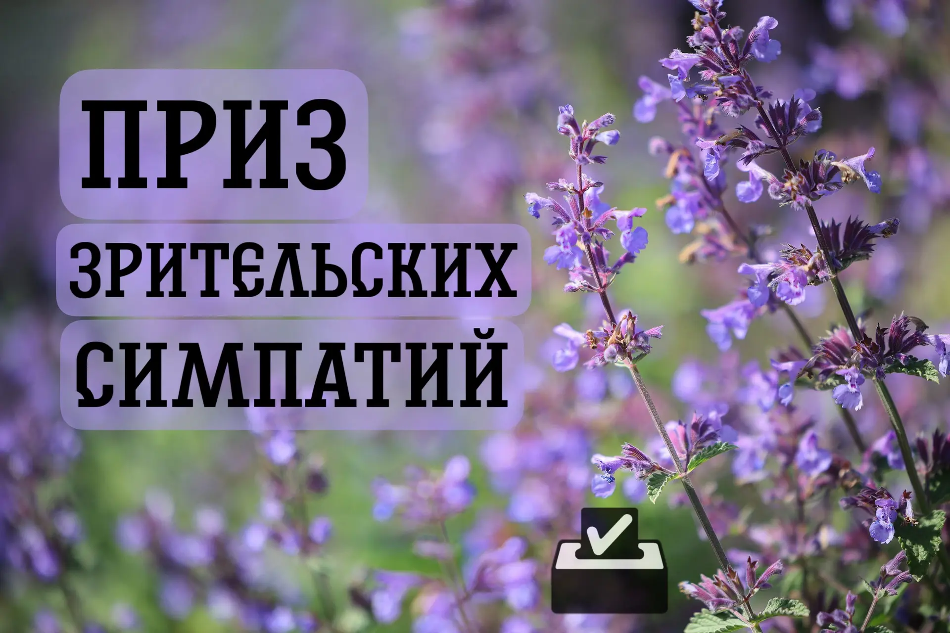 КОНКУРС ЛАНДШАФТНЫХ ПРОЕКТОВ «ЧТО ТАКОЕ САД В РУССКОМ СТИЛЕ»