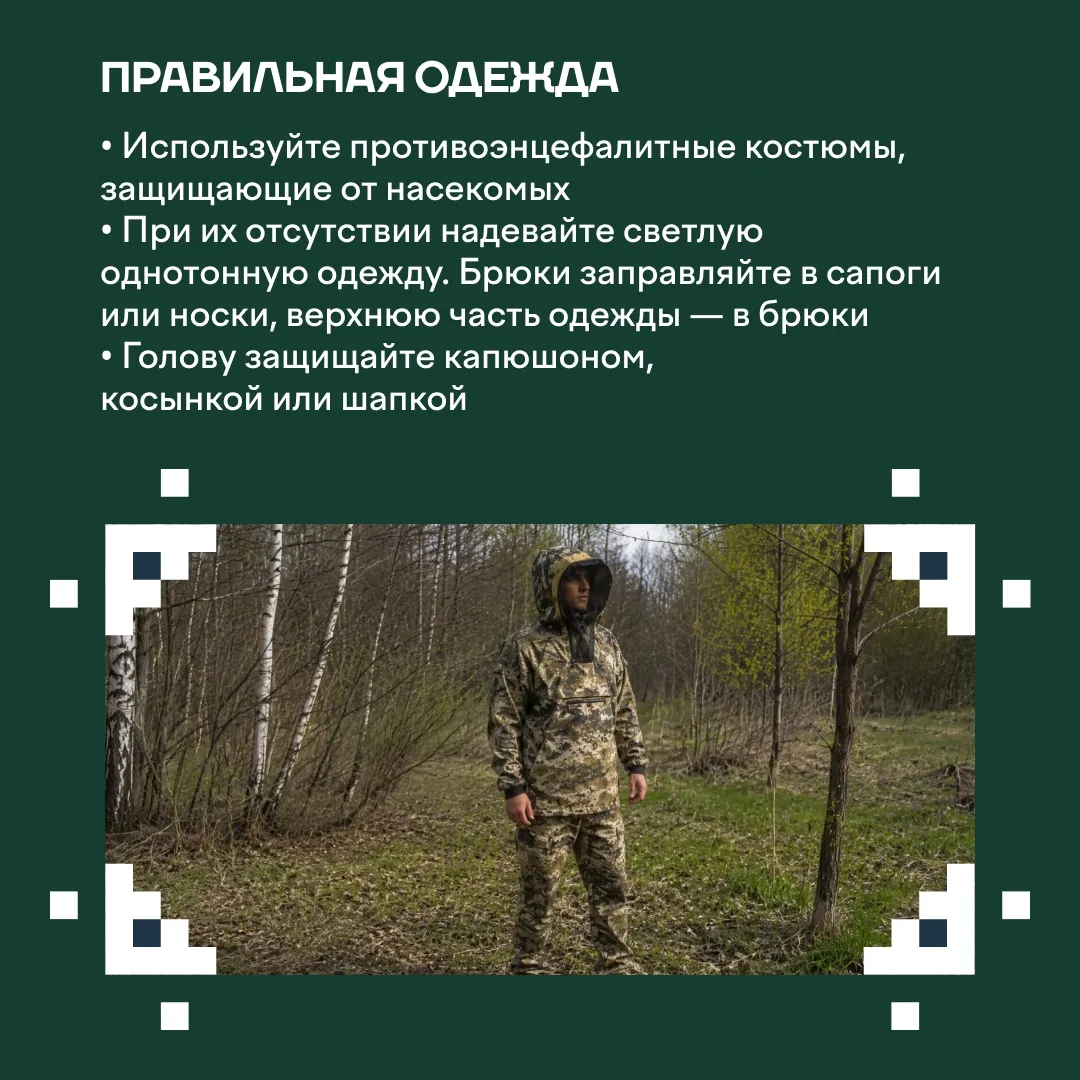 🌿 В наш округ возвращаются солнечные дни, хочется чаще гулять и наслаждаться весенними пейзажами. Но