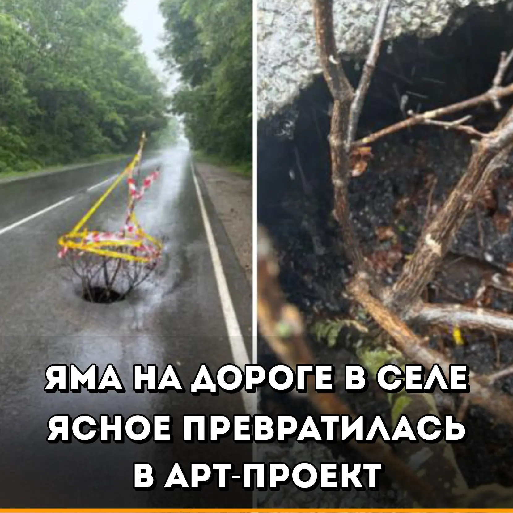 Недавно жители села Ясное обнаружили огромную дыру в асфальте, из которой прорастают  ветви какого-т