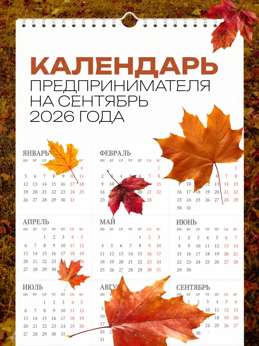 🍁 В сентябре малый и средний бизнес ждут стандартные платежи и сдача отчётности. По ка...