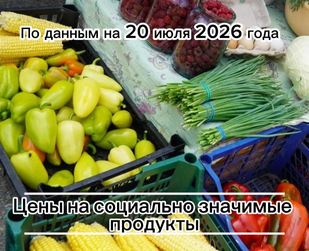 Где дешевле всего купить необходимые продукты в посёлке Борисовка.