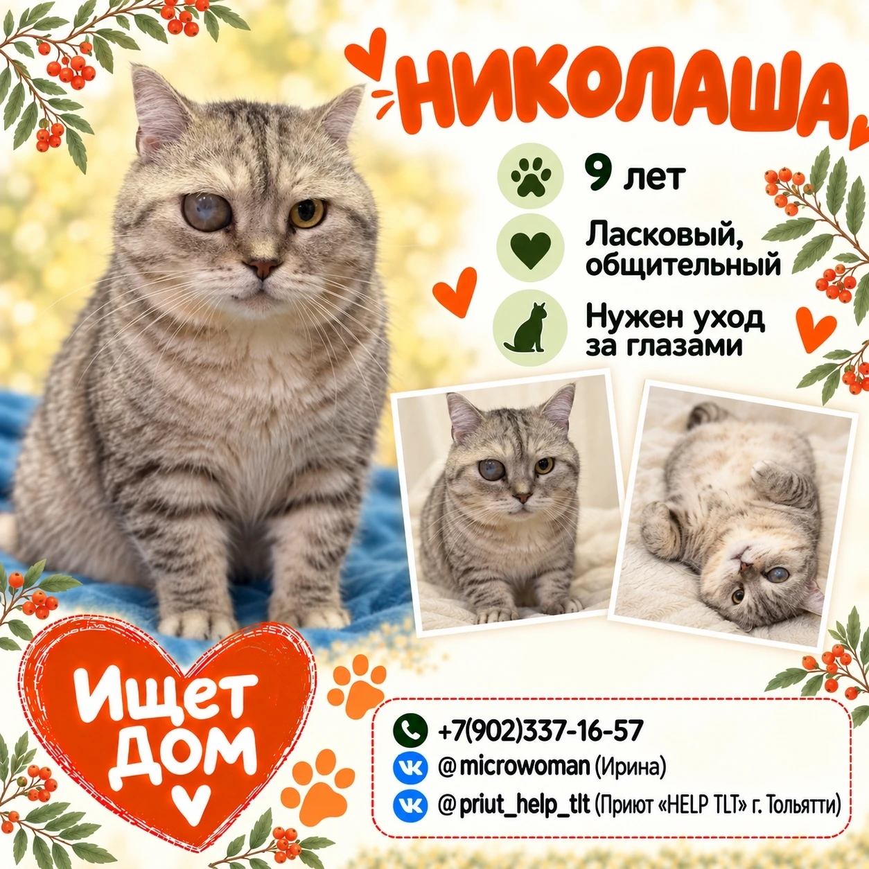 🐱 Друзья, знакомьтесь - Николаша.