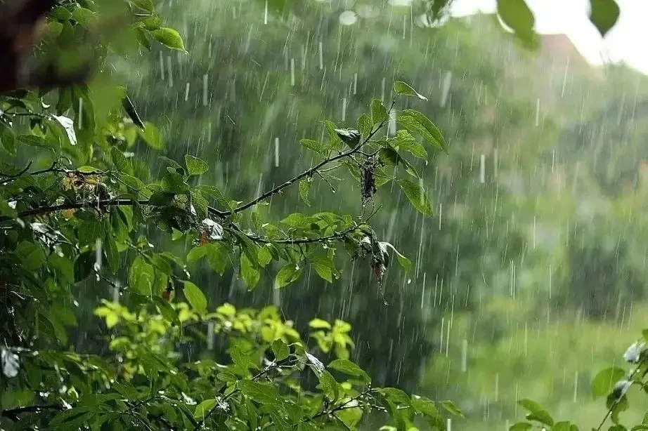 🌧️ В Хабаровском крае контролируют паводковую обстановку на фоне ухудшения погоды

С 15 июля в реги