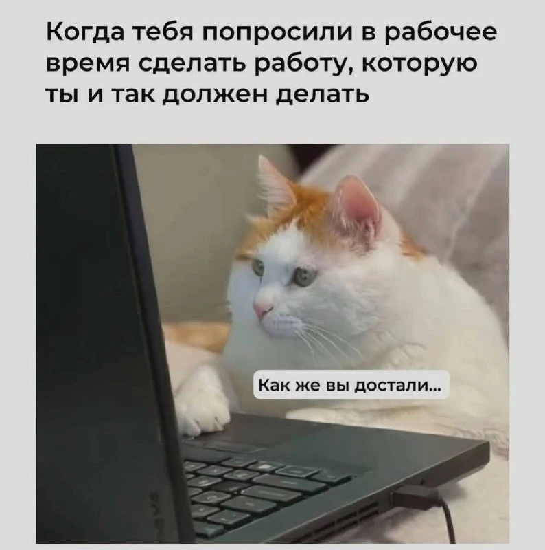 😄 Подпишись: Юмор и мемы