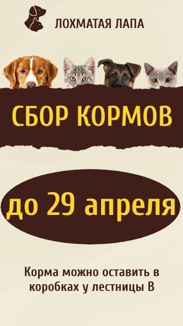 Дорогие родители, ученики и учителя! ✨  В нашем лицее стартовала акция «Добрый лицей», и мы приглаша