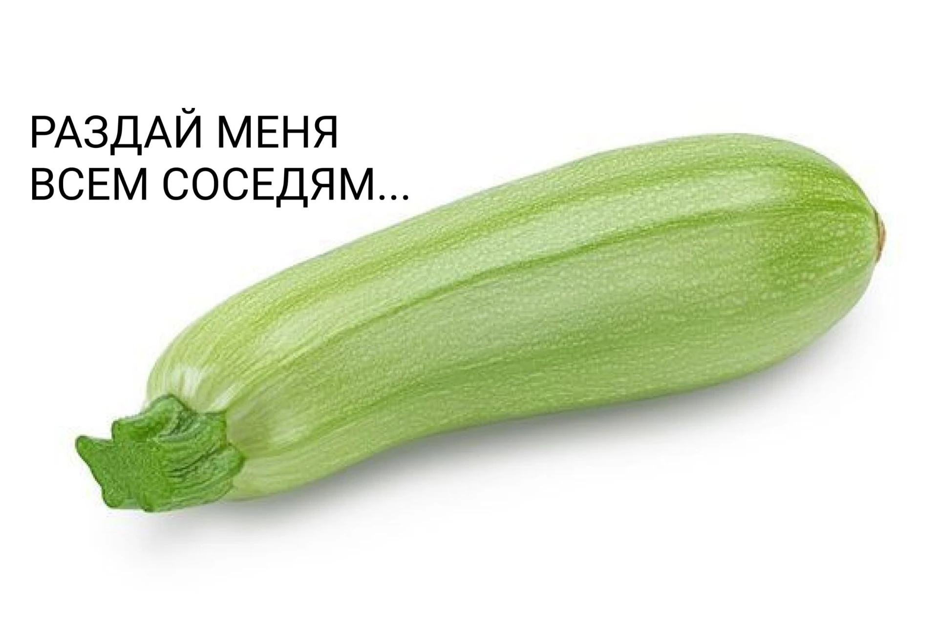 Тюменские аграрии собрали больше половины урожая