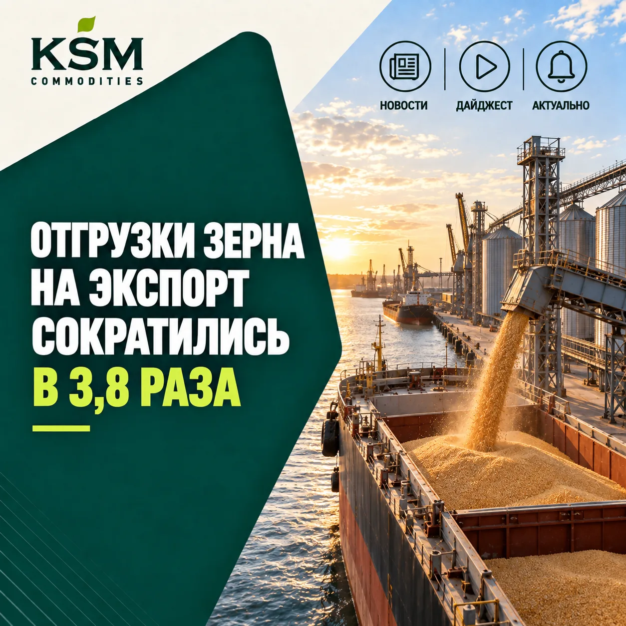 🌾 Отгрузки зерна на экспорт сократились в 3,8 раза