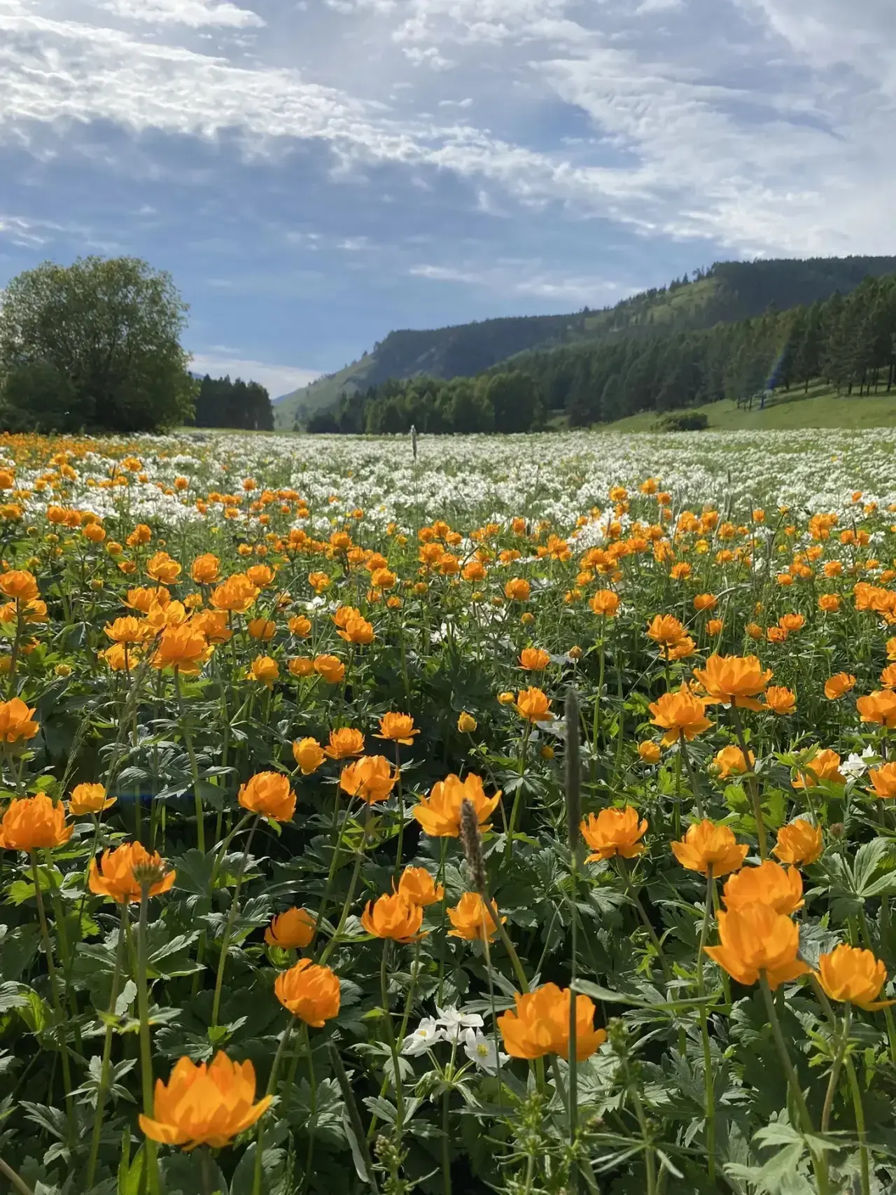 ☀️Доброе утро 

📸Фото - Марии Зеленской.

По данным синоптиков сегодня -  от +15°C до +26 °С, ☀️⛅️