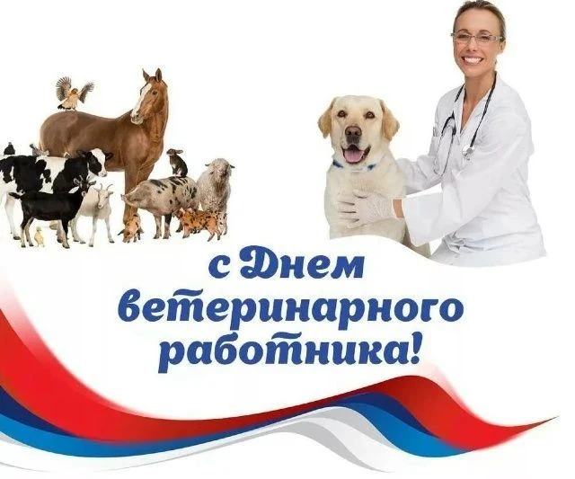 🇷🇺 🇷🇺 🇷🇺 Российский праздник - День ветеринарного работника!! 31 Августа.
