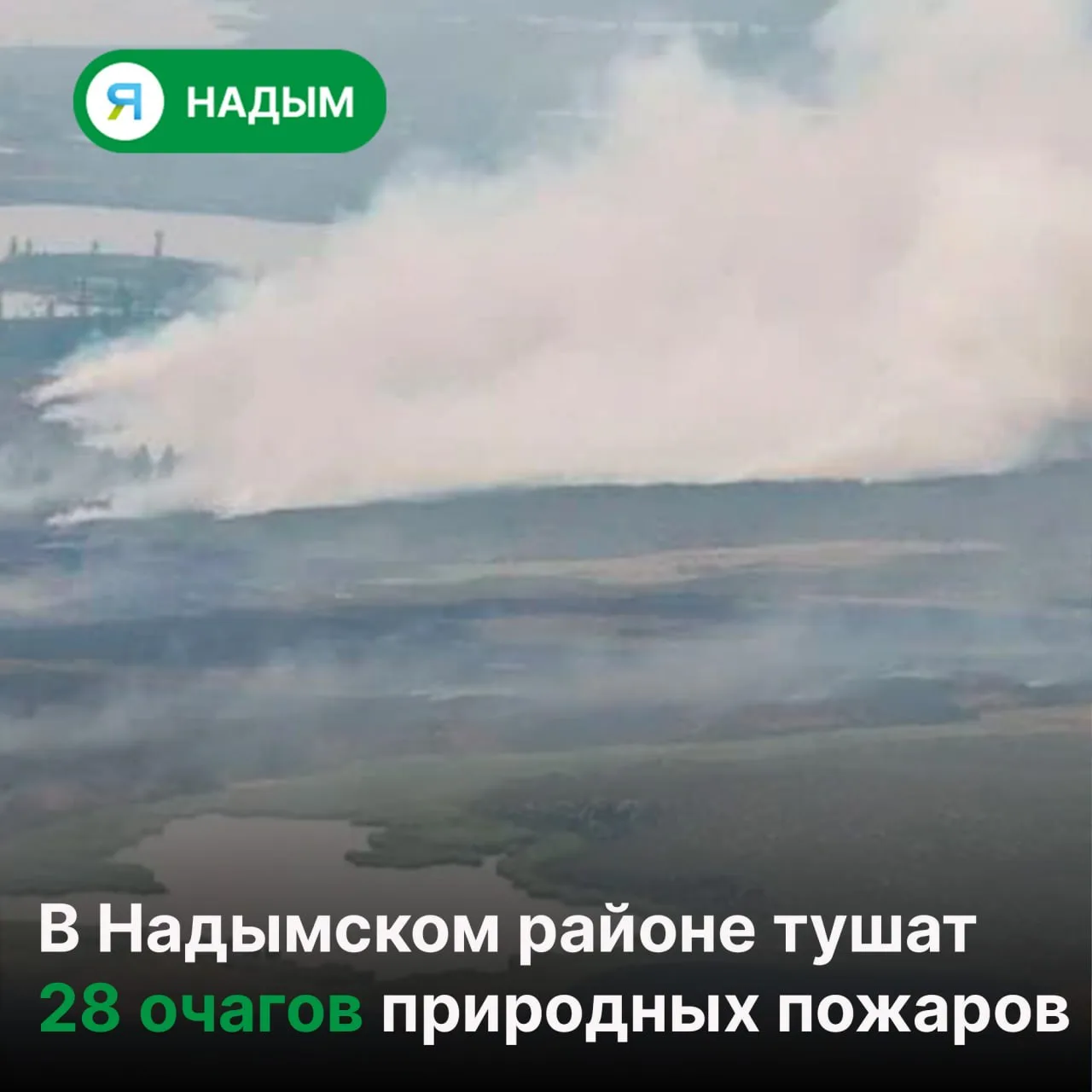 🔥 Ситуация с природными пожарами в Надымском районе