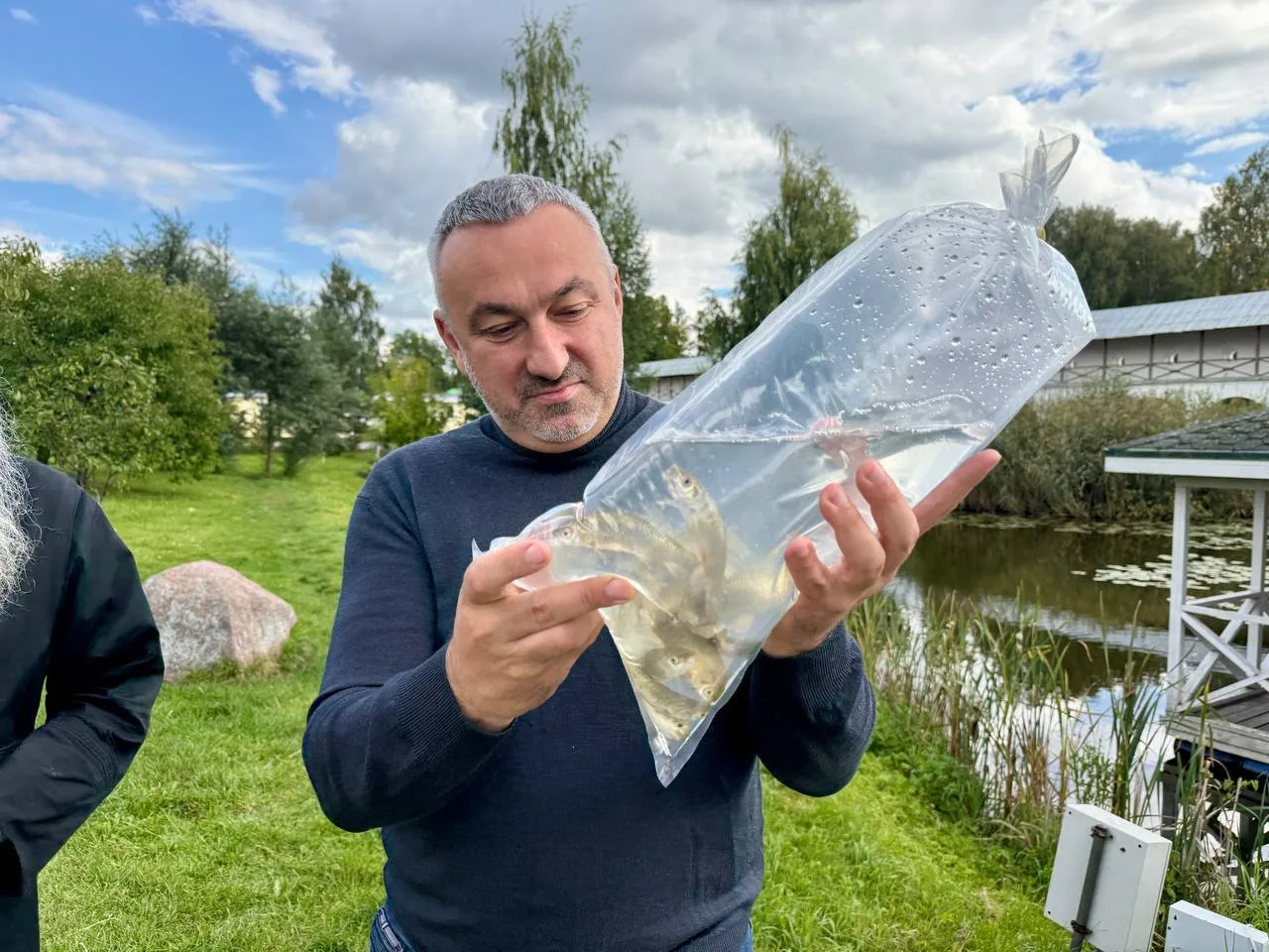 🐟 В озеро Сырково выпустили 53 белых амура