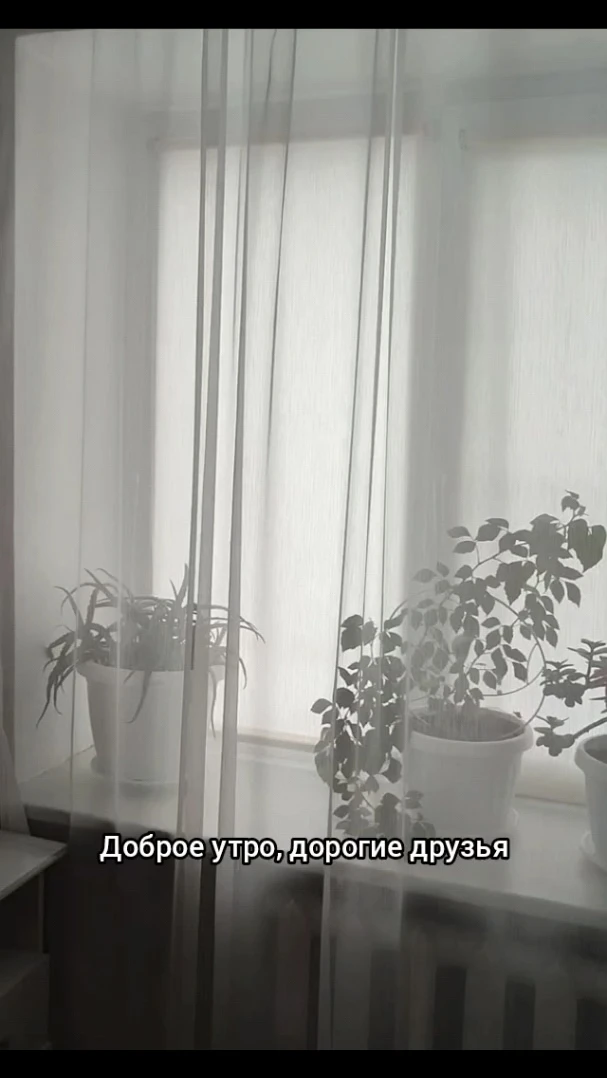 Видео: https://vk.ru/video-80646552_456239056
