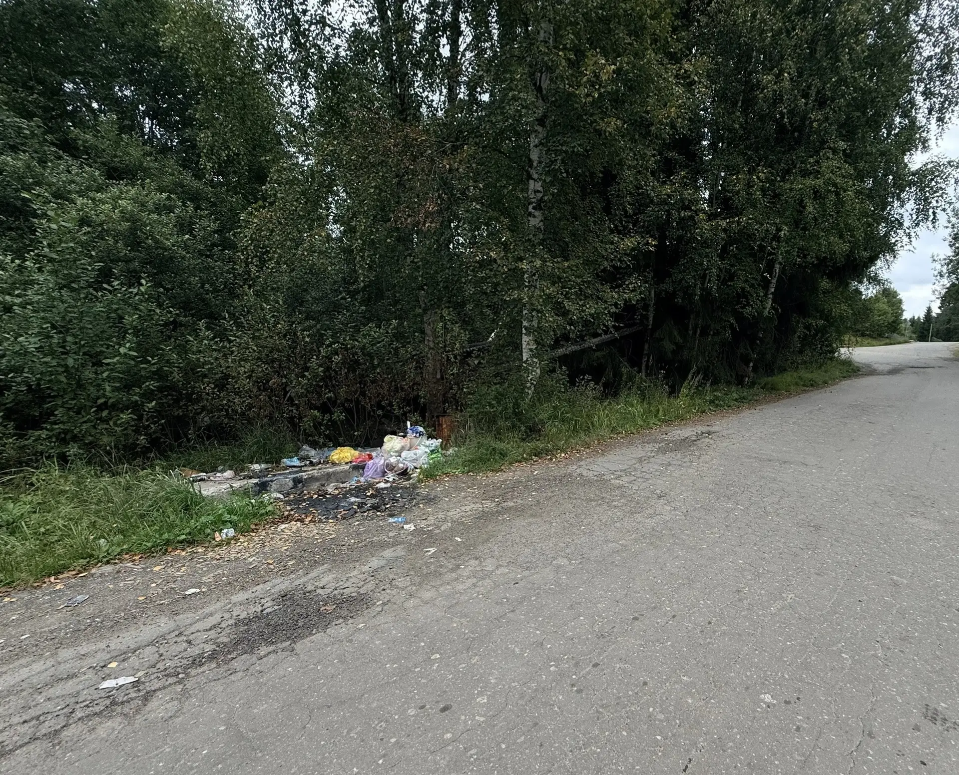 Спасибо за заботу о городе! 🙏