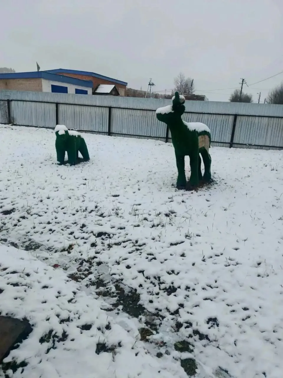 ❄️ Карымский округ