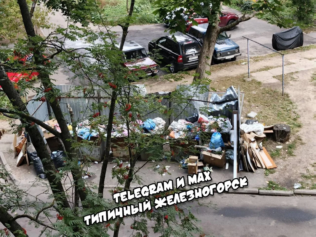 ‼️Жители дома на Ленина, 48к1 в Железногорске утопают в мусоре: УК и администрация обещ...